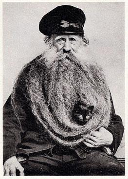 beardcat